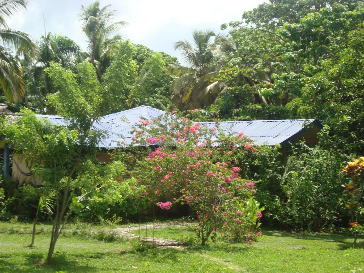 Fata Morgana Eco Hotel Las Terrenas Exterior foto