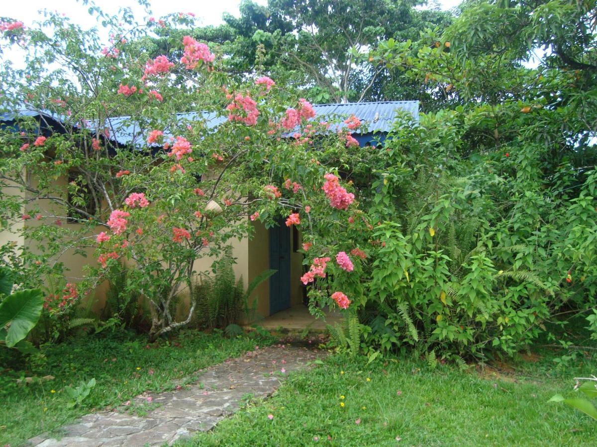 Fata Morgana Eco Hotel Las Terrenas Exterior foto